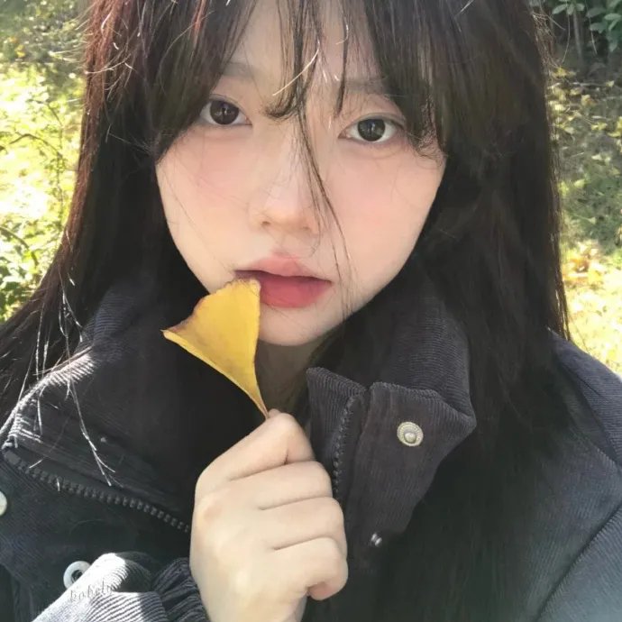 贤婿